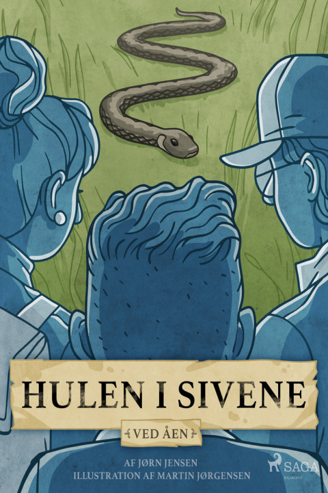 Omslag: Hulen i sivene