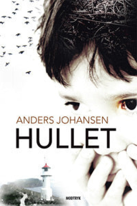 Omslag: Hullet
