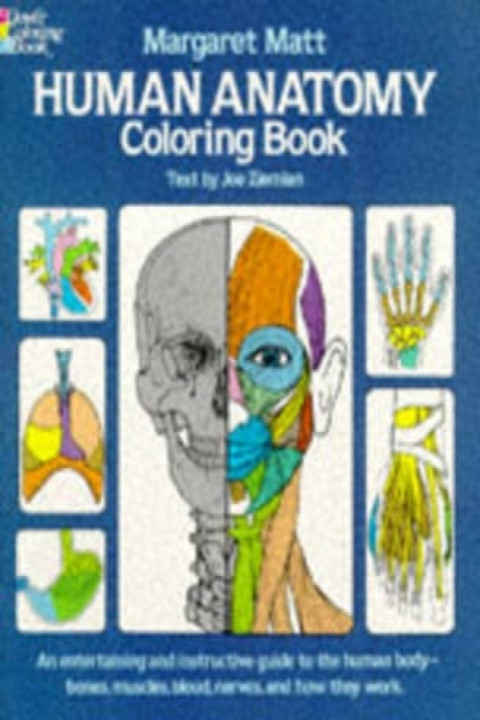 Omslag: Human Anatomy