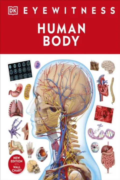 Omslag: Human Body
