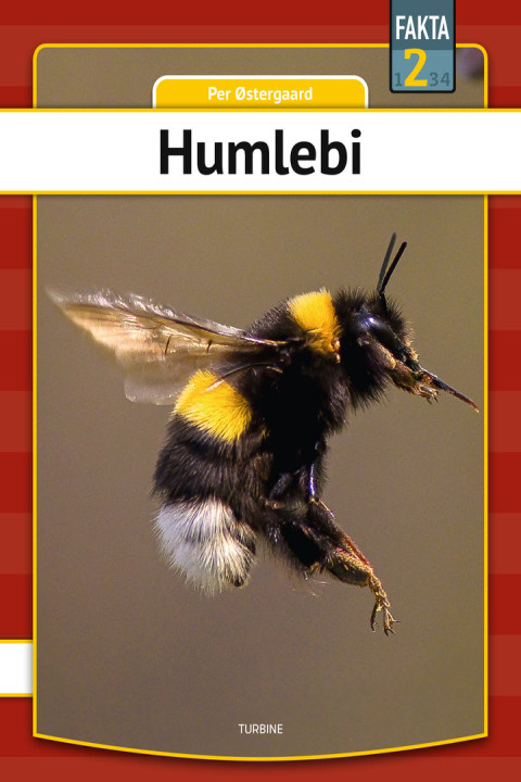 Omslag: Humlebi