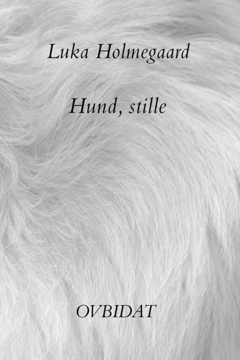 Omslag: Hund, stille