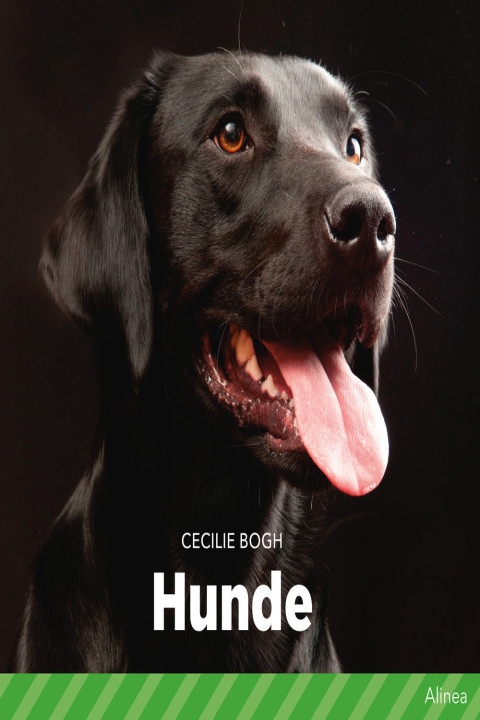 Omslag: Hunde