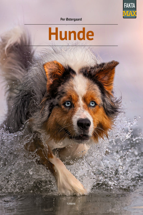 Omslag: Hunde