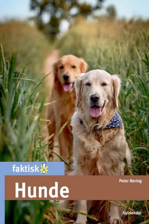 Omslag: Hunde