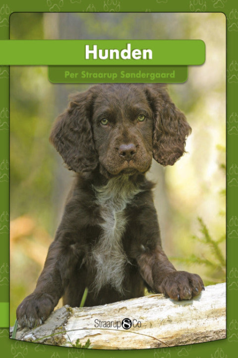 Omslag: Hunden