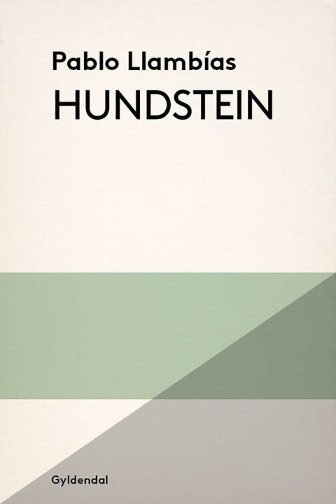 Omslag: Hundstein