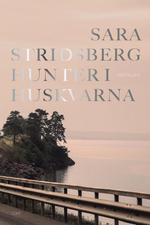 Omslag: Hunter i Huskvarna