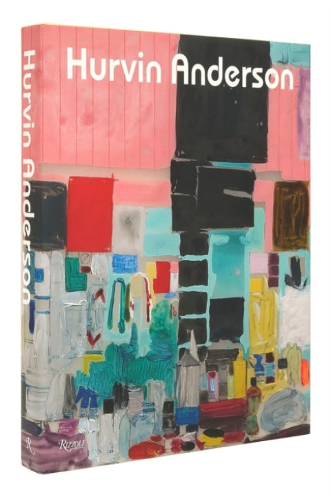 Omslag: Hurvin Anderson