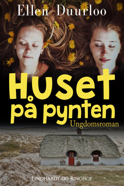 Omslag: Huset på pynten