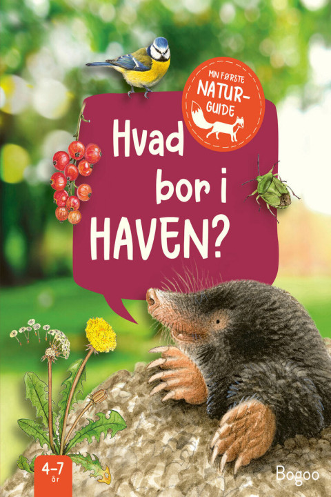 Omslag: Hvad bor i haven?