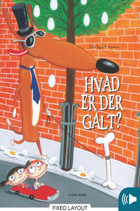 Omslag: Hvad er der galt?