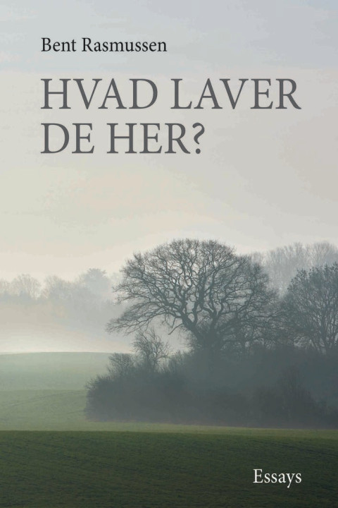 Omslag: Hvad laver De her?