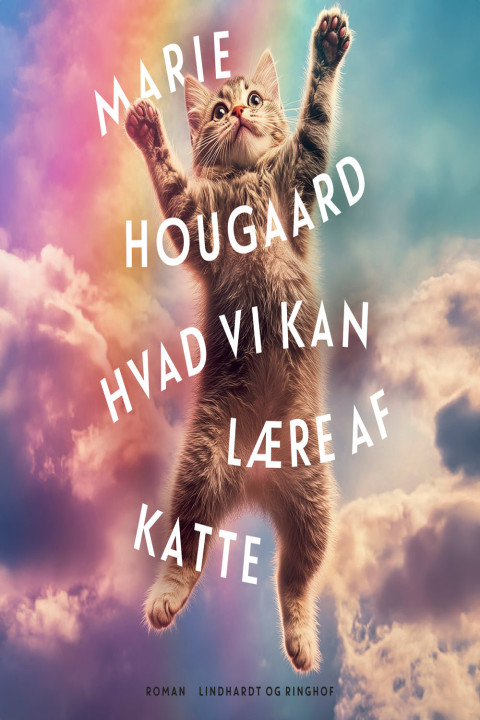 Omslag: Hvad vi kan lære af katte