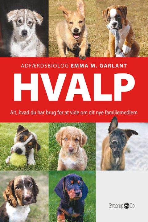 Omslag: Hvalp