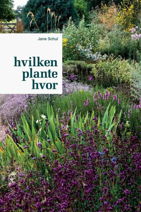 Omslag: Hvilken plante hvor