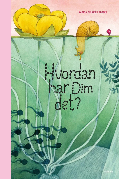 Omslag: Hvordan har Dim det?