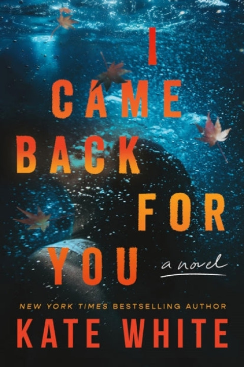 Omslag: I Came Back for You