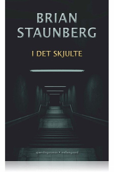 Omslag: I DET SKJULTE