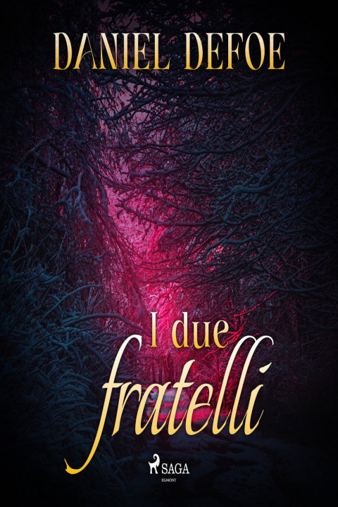 Omslag: I due fratelli