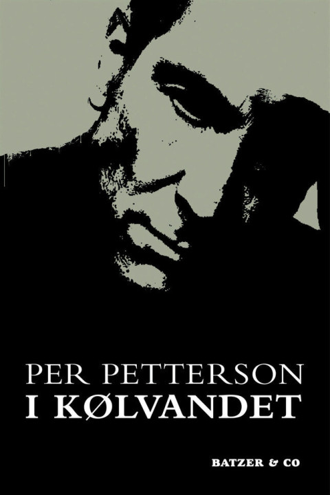 Omslag: I kølvandet - Roman
