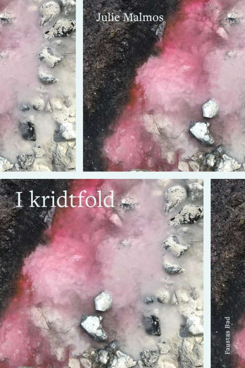 Omslag: I kridtfold