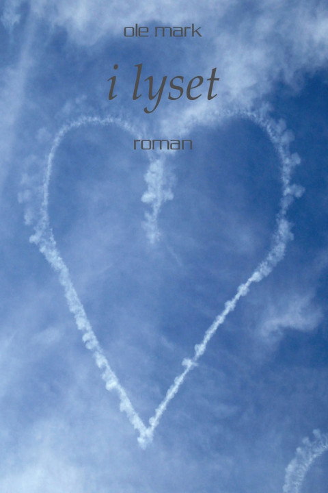 Omslag: I lyset
