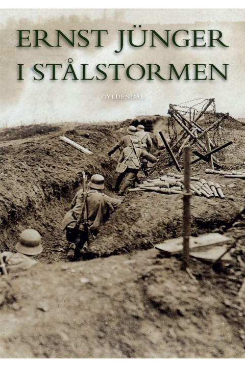 Omslag: I stålstormen
