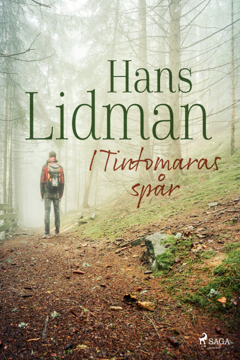 Omslag: I Tintomaras spår
