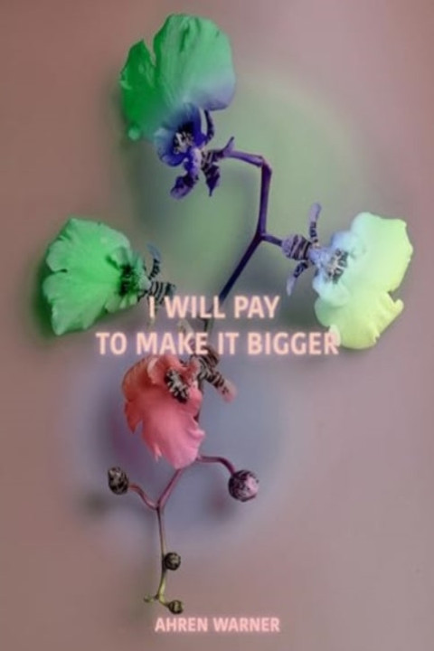 Omslag: I Will Pay To Make It Bigger