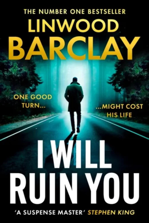 Omslag: I Will Ruin You