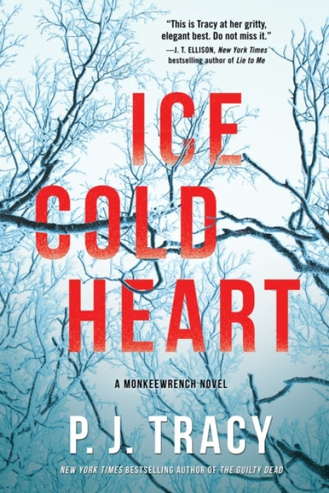 Omslag: Ice Cold Heart