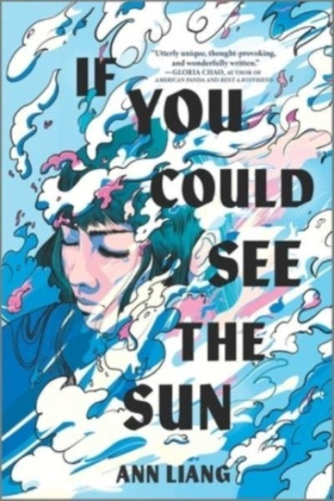 Omslag: If You Could See the Sun