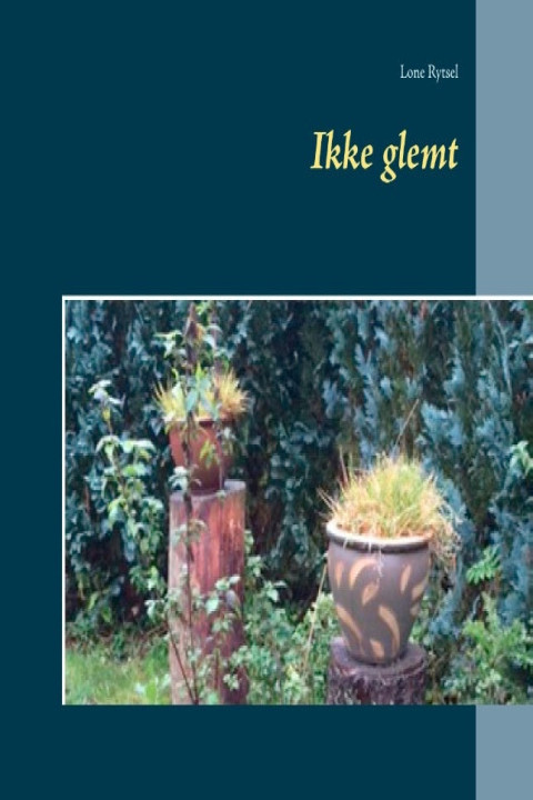Omslag: Ikke glemt