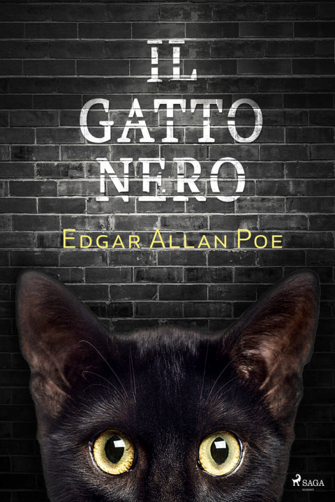 Omslag: Il gatto nero