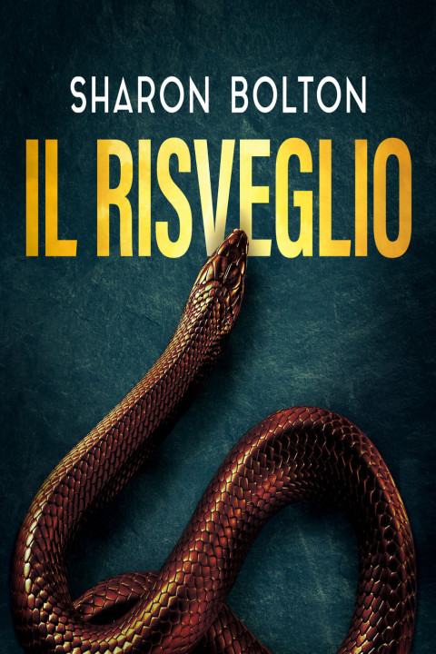 Omslag: Il risveglio