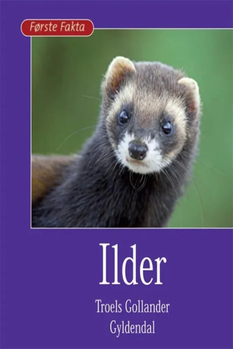 Omslag: Ilder
