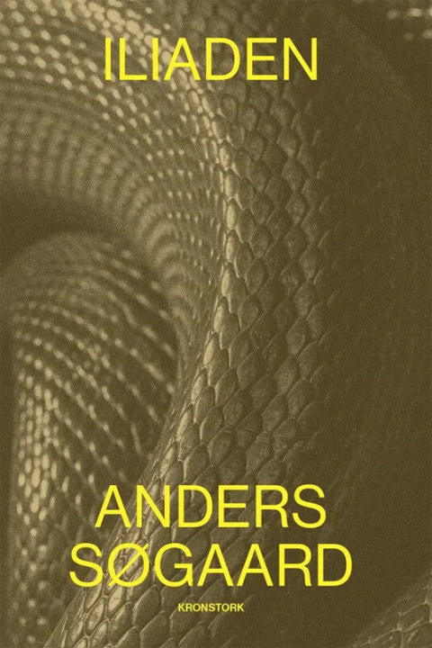 Omslag: Iliaden