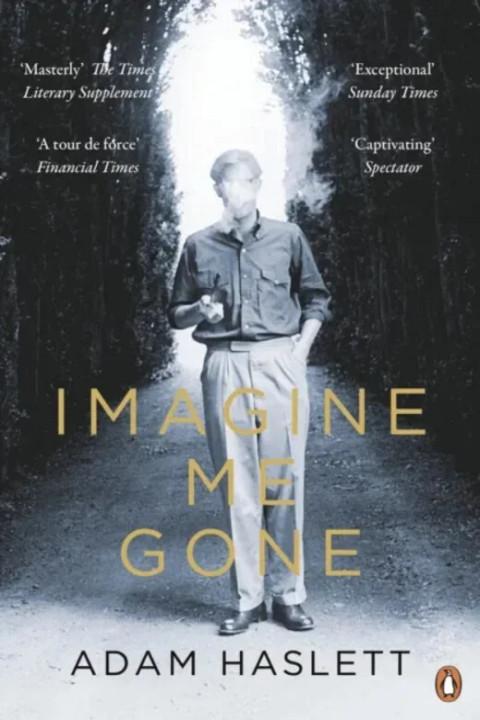 Omslag: Imagine Me Gone