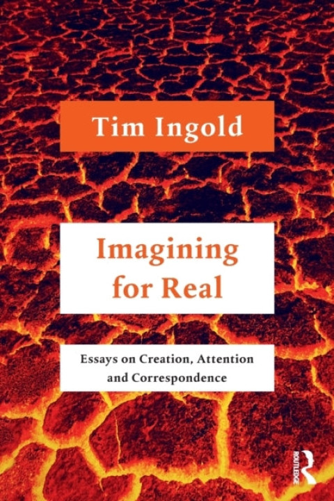 Omslag: Imagining for Real