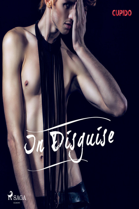 Omslag: In Disguise