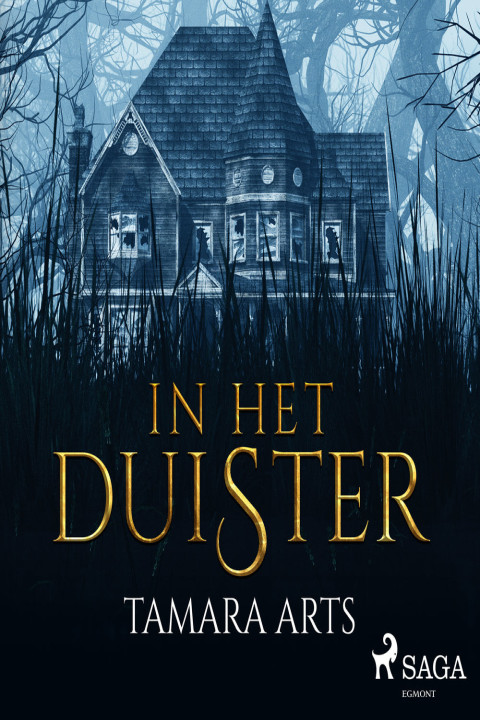 Omslag: In het duister