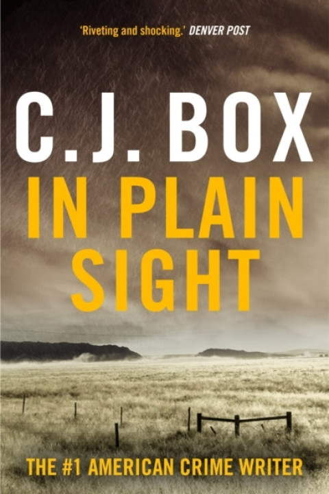 Omslag: In Plain Sight