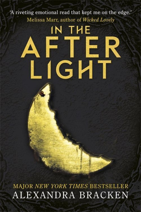 Omslag: In The\Afterlight