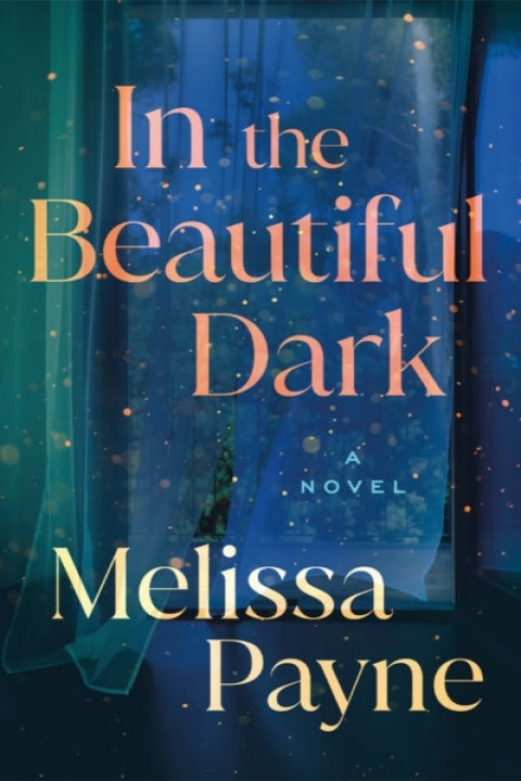 Omslag: In the Beautiful Dark