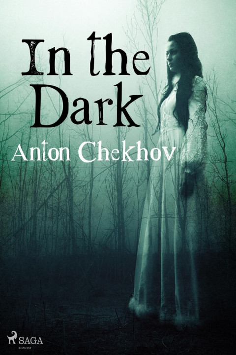 Omslag: In the Dark