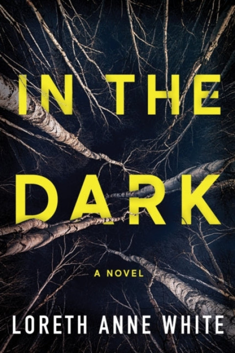 Omslag: In the Dark