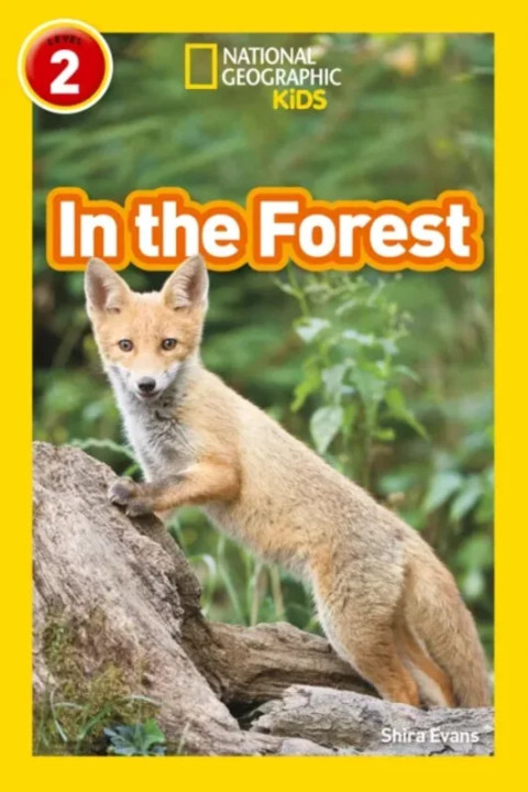 Omslag: In the Forest - Level 2