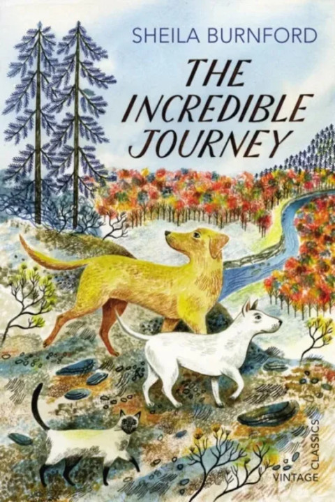 Omslag: Incredible Journey