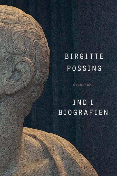 Omslag: Ind i biografien